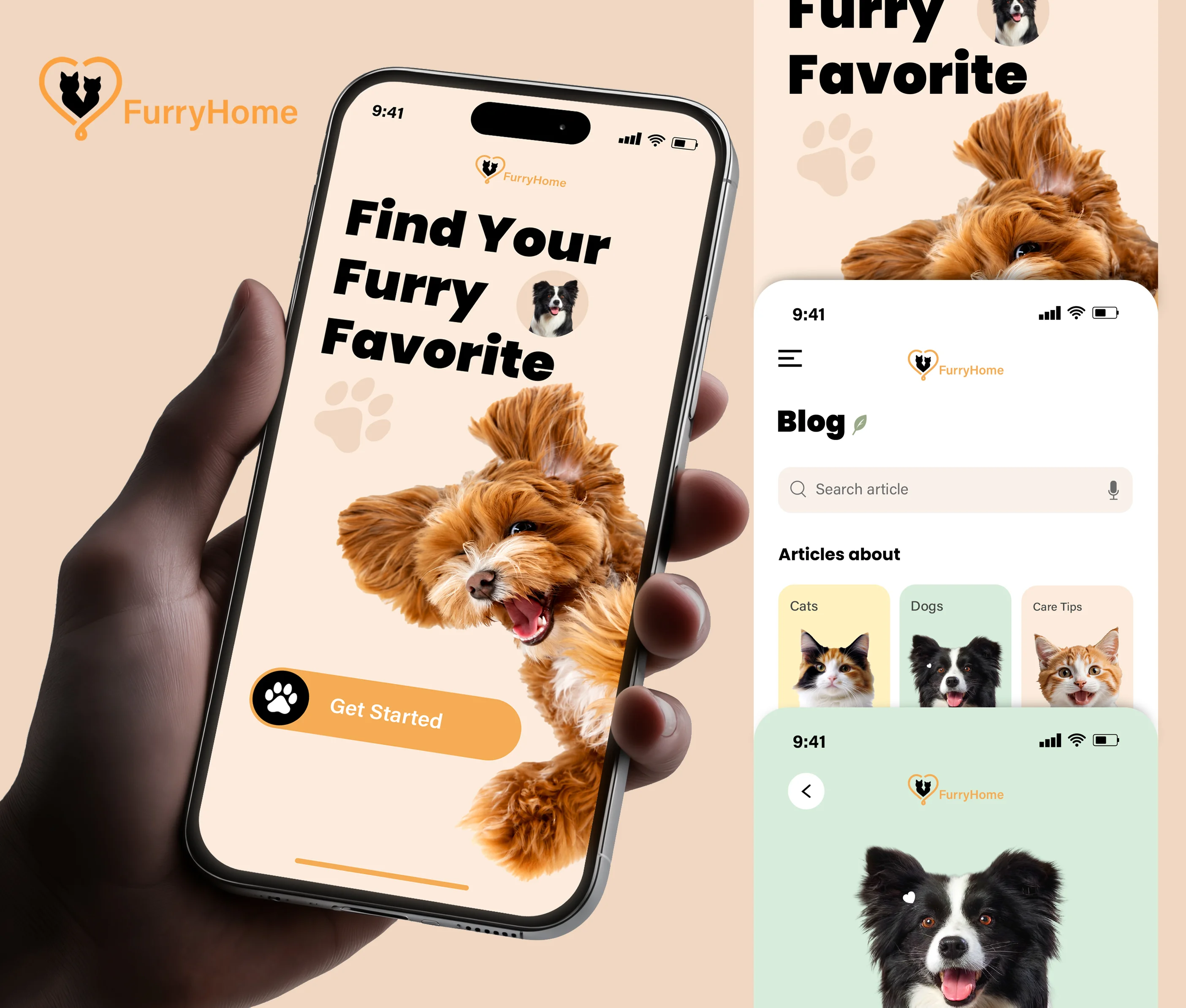 FurryHome project visual 3
