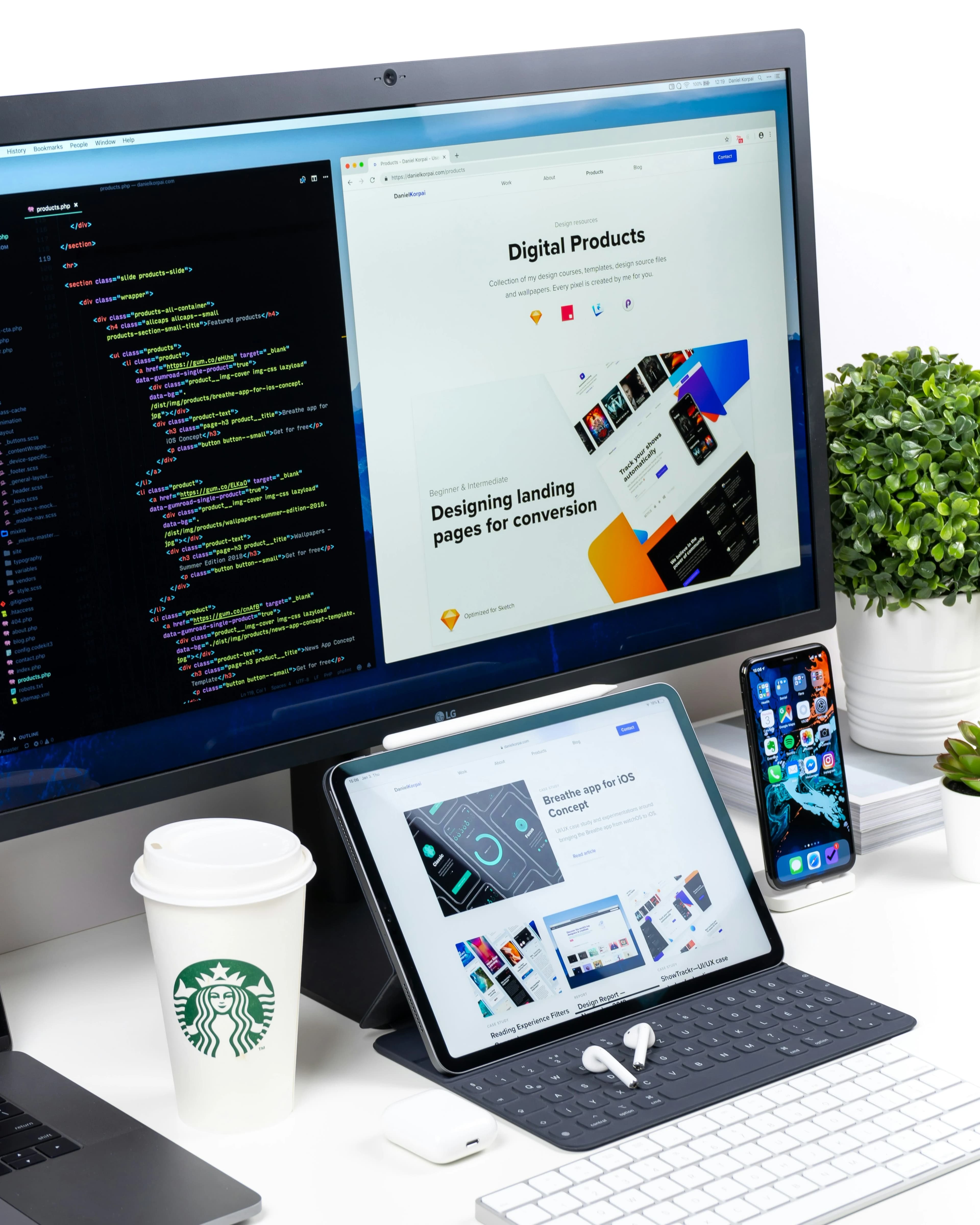 Website design & development service
